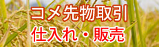 コメ先物取引